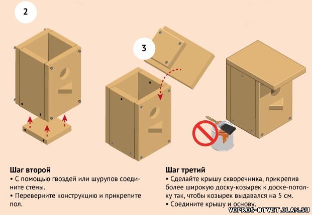 Схема бельчатника размеры