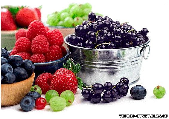 какие продукты укрепляют зрение